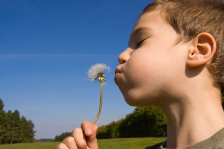 Al via il bollettino dei pollini