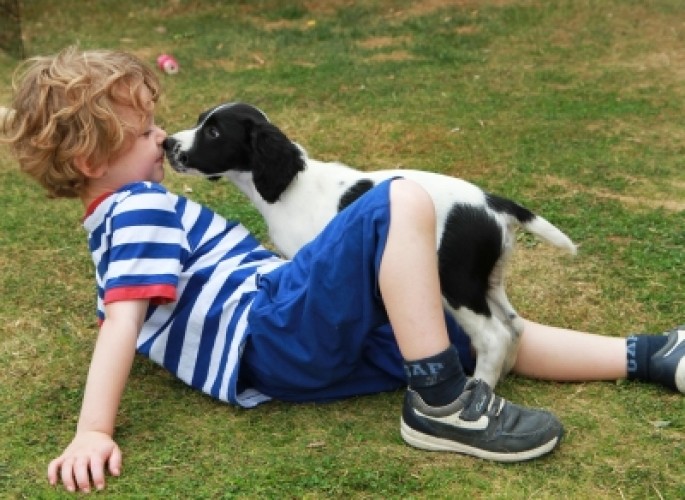 Animali e autismo: evidenze di successo relazionale e sociale