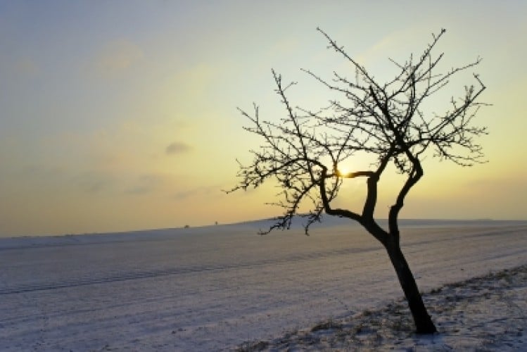 Che depressione senza luce: come rimediare?