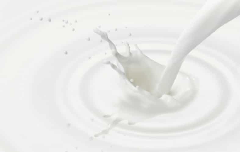 Danni intestinali da latte vaccino: quando un alimento buono può diventare cattivo