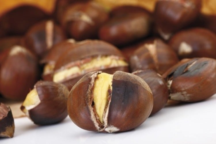 Ecco perché mangiare le castagne