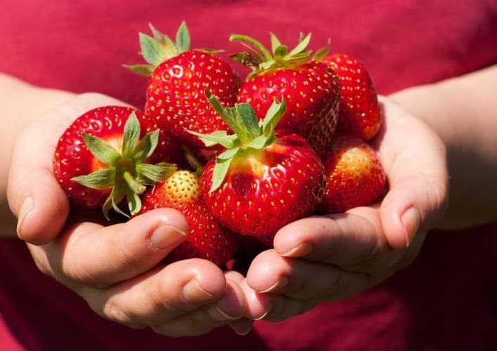 Fragole, infiammazione e metabolismo: la frutta buona che fa bene
