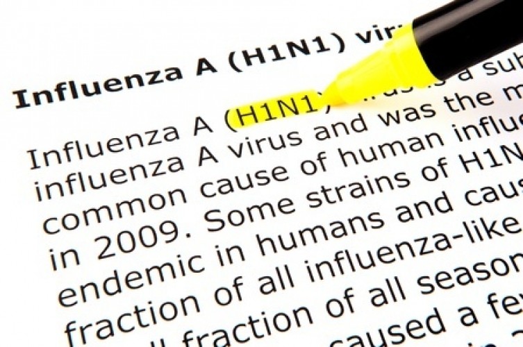 Influenza suina: protetti con la giusta integrazione