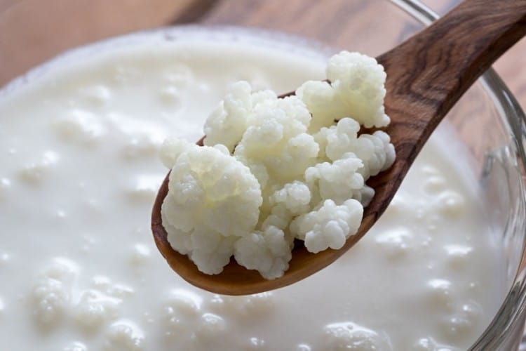 Kefir: una nuova risorsa?