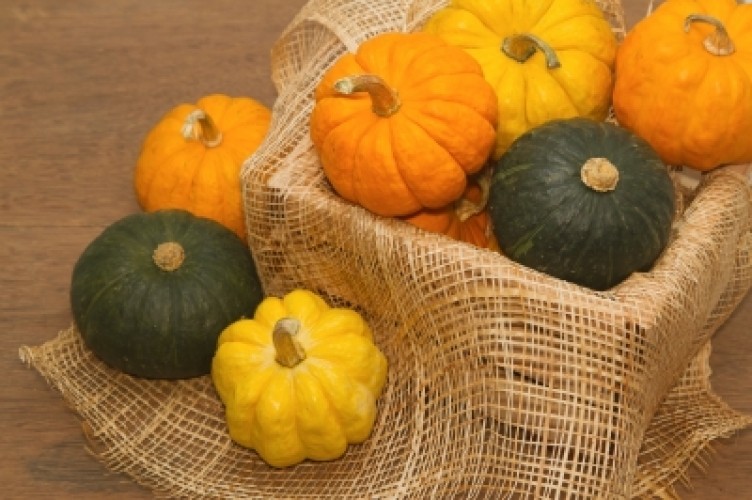 La zucca dell'allegria