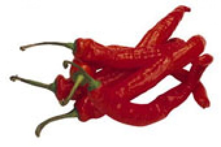 Peperoncino anti-emicrania: questione di naso