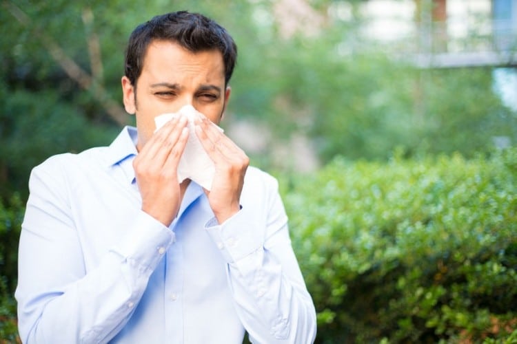 Prevenire e curare le allergie: come fare?