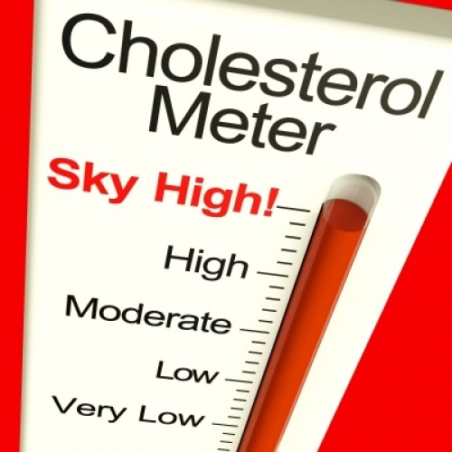 Quando anche molto colesterolo non provoca danno!