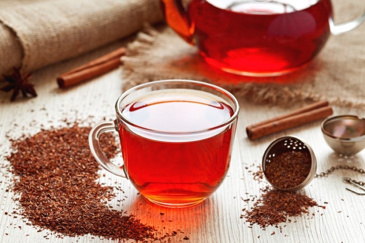 Rooibos: ecco perché è una superpianta