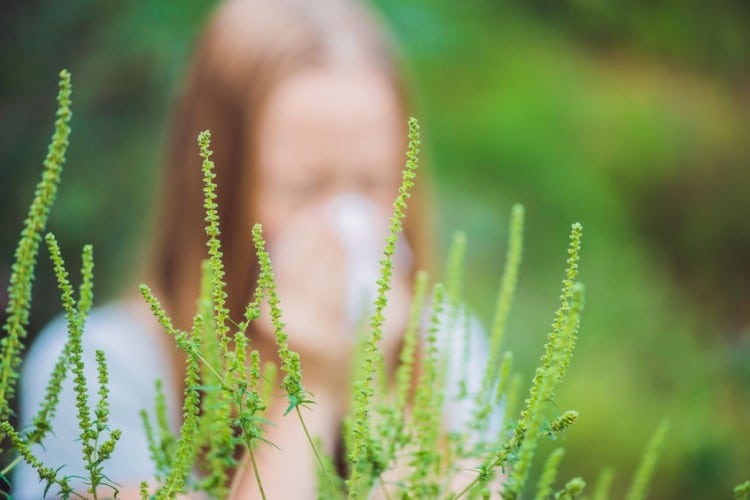 Terapia antiallergica: integrare controllo infiammatorio e iposensibilizzanti a bassa dose