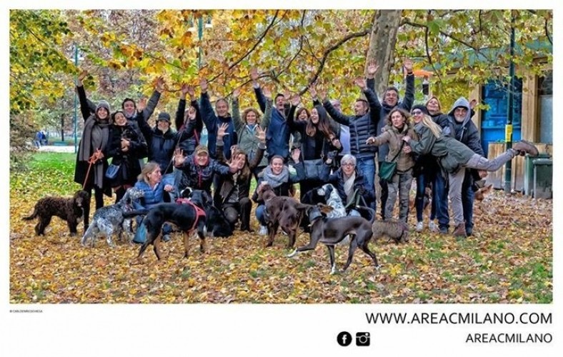 Un'area ideale per i cani (e i loro padroni)