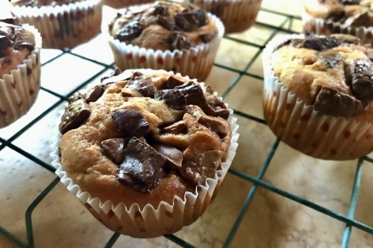 Cupcakes di ricotta e cioccolato